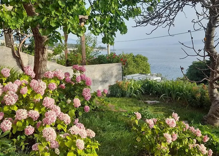 Apartments Mare Croatia