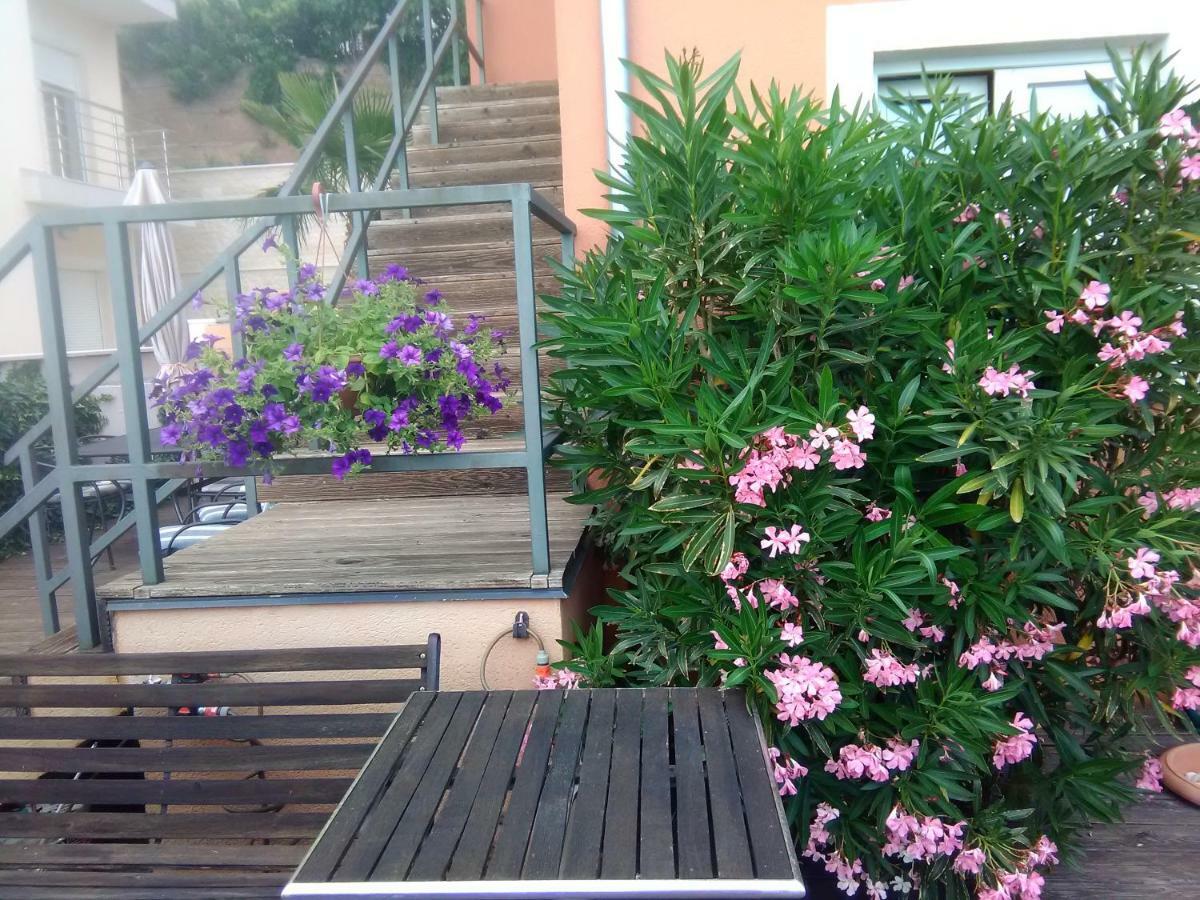 Mare Croatia Apartment *